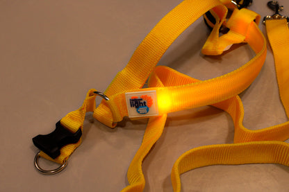 DIL Dog Harness & Lead