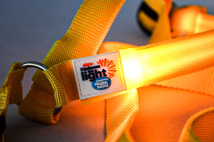 DIL Dog Harness & Lead